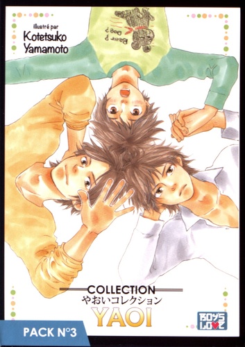 Ran Mutsuki et Kiyoi Kiriyu - Collection Yaoi Pack N° 3 - 5 mangas : I want to say love ; The uneven couple ; Dreaming love 2 ; If it's not you ; The liar wolf proposes twice.