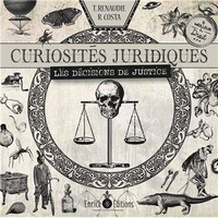 Raphaël Costa et Théo Renaudie - Curiosités juridiques - Les décisions de justice.