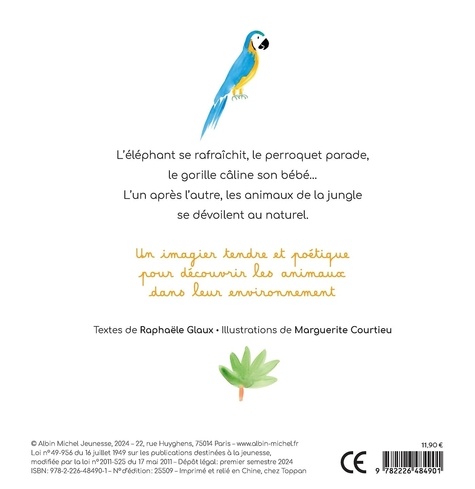 Les animaux de la jungle de Raphaële Glaux - Album - Livre - Decitre