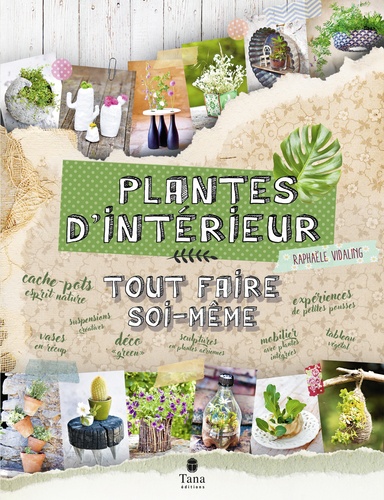 Plantes d'intérieur