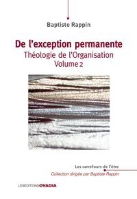 Théologie de l'organisation