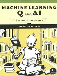 Machine Learning Q and AI
