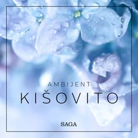 Ambijent - Kišovito