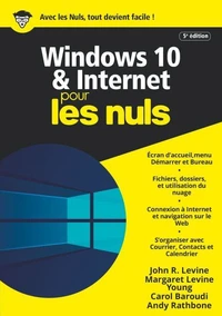 Windows 10 et Internet pour les nuls
