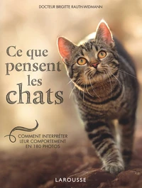 Ce que pensent les chats