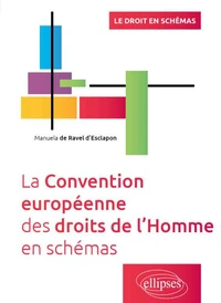 La Convention européenne des droits de l'Homme en schémas