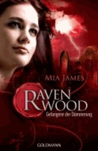 Ravenwood 02. Gefangene der Dämmerung - Roman.