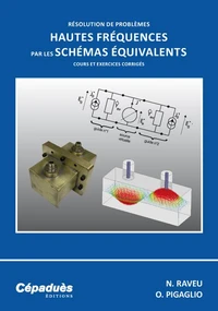 Résolution de problèmes Hautes Fréquences par les schémas équivalents