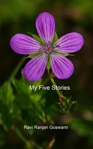 My Five Stories