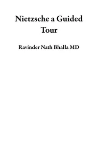 Nietzsche a Guided Tour Vol II: a Path Through His Thought