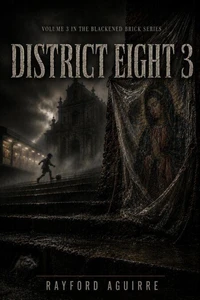 District Eight 3