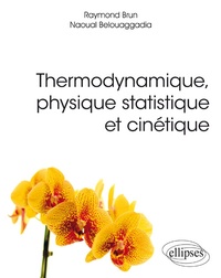 Raymond Brun et Naoual Belouaggadia - Thermodynamique, physique statistique et cinétique.