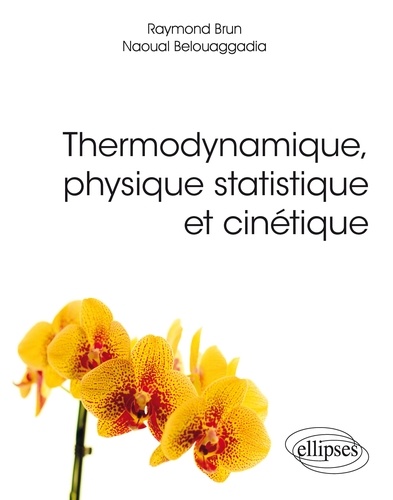 Thermodynamique, physique statistique et cinétique