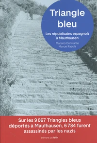 Triangle bleu