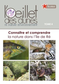 L'Oeillet des dunes