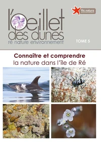 L'Oeillet des dunes