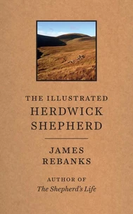 Illustrated herdwick shepherd, the
