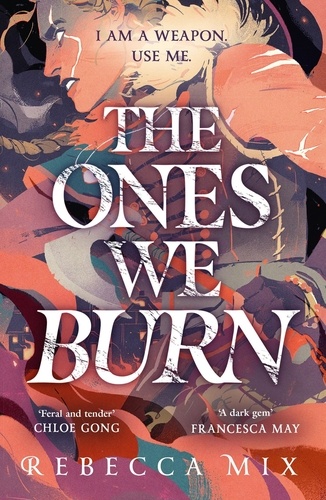 The Ones We Burn. the New York Times bestselling dark epic young adult fantasy