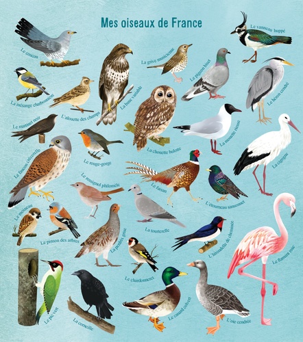 Je découvre les oiseaux de France en dessinant et en coloriant