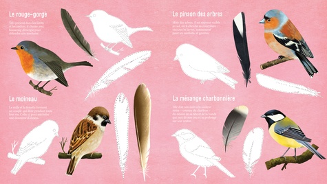 Je découvre les oiseaux de France en dessinant et en coloriant