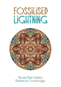 Fossilised Lightning