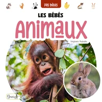 Les bébés animaux