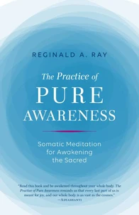 The Practice of Pure Awareness