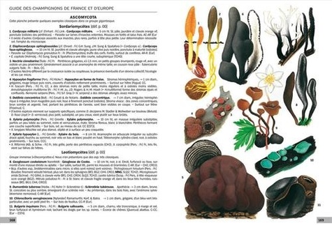 Guide des champignons de France et d'Europe. 1752 espèces décrites et illustrées