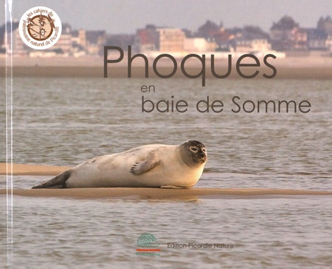 Régis Delcourt - Phoques en baie de Somme.