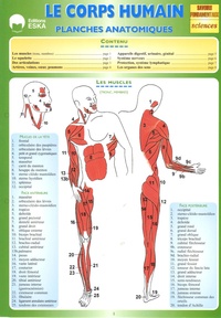 Régis Demounem - Le corps humain - Planches anatomiques.