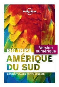 Télécharger des livres sur Google par isbn Amérique du Sud  - Grands voyages, petits budgets 9782816166507