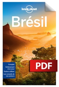 Téléchargez des livres en allemand Brésil (French Edition) 9782816165777