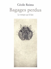 Bagages perdus