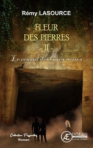 Rémy Lasource - Fleur des pierres Tome 2 : Le renard des caves noires.