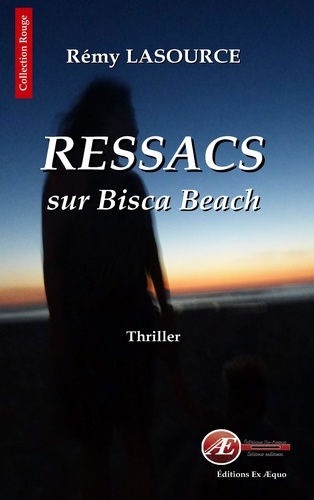 Rémy Lasource - Ressacs sur Bisca Beach.