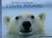 Rémy Marion - Dernières nouvelles de l'ours polaire.