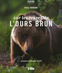 Sur les traces de l'ours brun