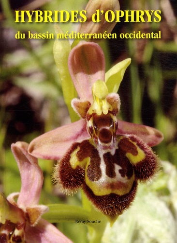Rémy Souche - Hybrides d'ophrys du bassin méditerranéen occidental.