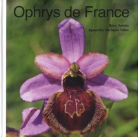 Rémy Souche - Ophrys de France, d'Occitanie, de Catalogne et de Corse.