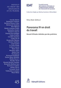 Panorama IV en droit du travail