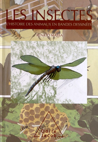 Renato Massa - Les insectes - L'histoire des animaux en bandes dessinées.