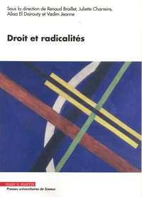 Droit et radicalités