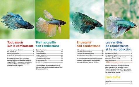 Poissons combattants