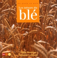 Les trésors du blé. - Du grain au pain.pdf