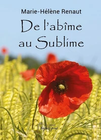 De l'abîme au sublime