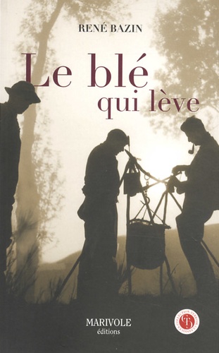 Le blé qui lève