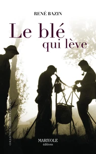 Le blé qui lève