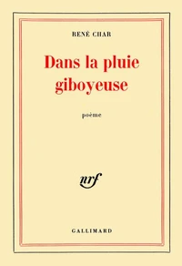 DANS LA PLUIE GIBOYEUSE