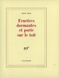 Fenetres Dormantes Et Porte Sur Le Toit