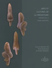 Arts et cultures de la préhistoire